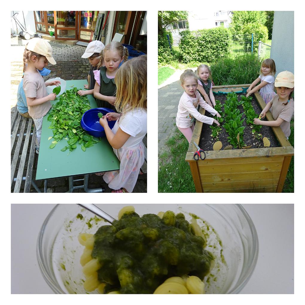 Collagebild 1