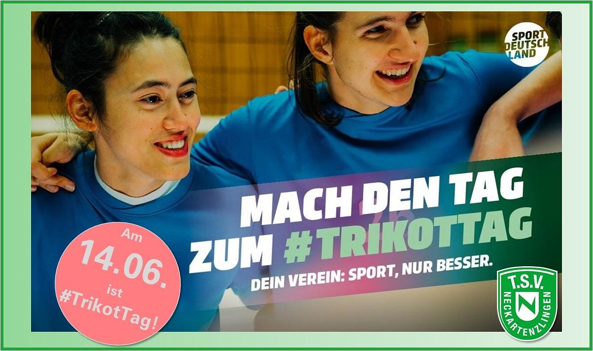 Bild im Zusammenhang mit dem Beitrag