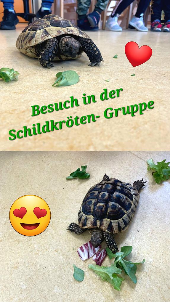 Collagebild 1