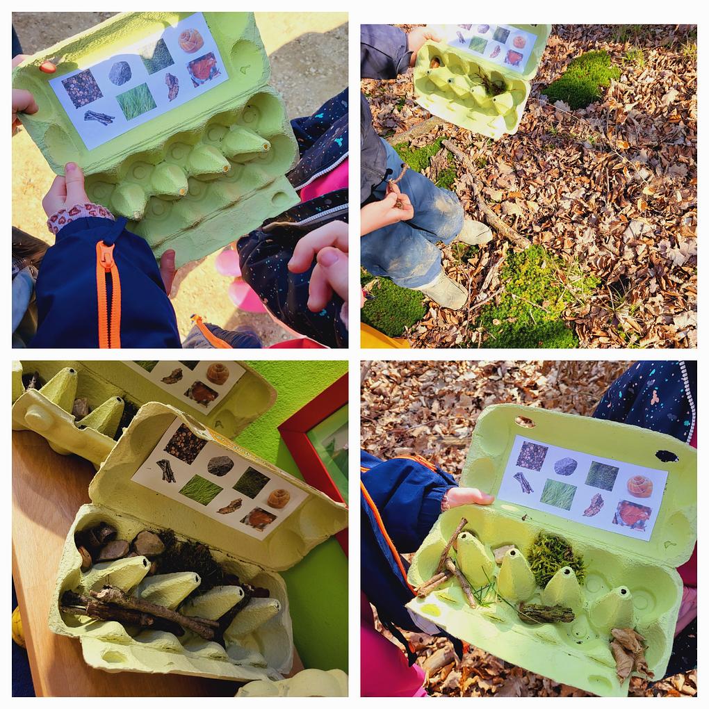 Collage image 1