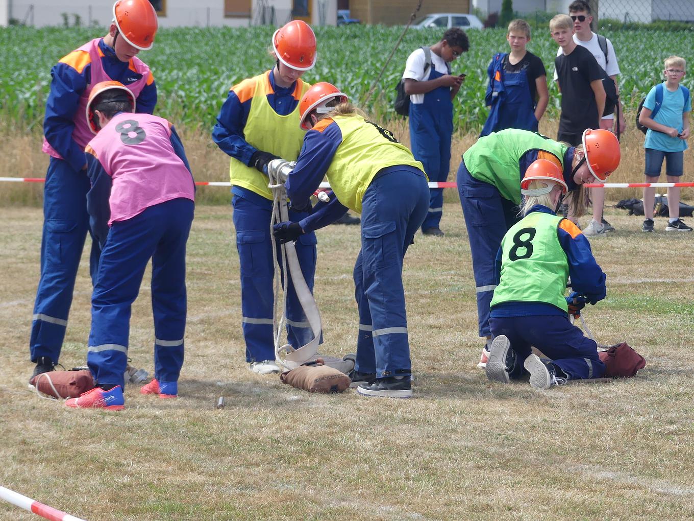 Bild im Zusammenhang mit dem Beitrag