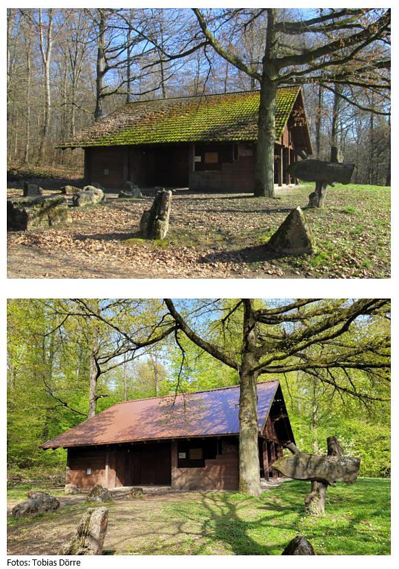 Collagebild 1