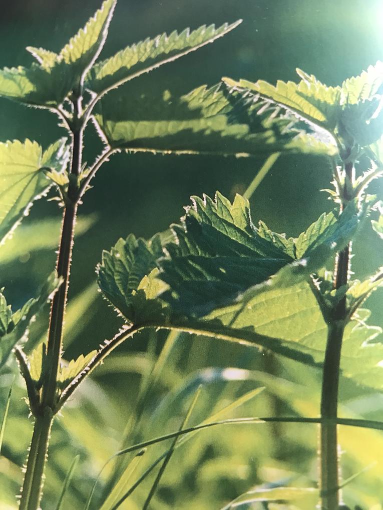 Bild im Zusammenhang mit dem Beitrag
