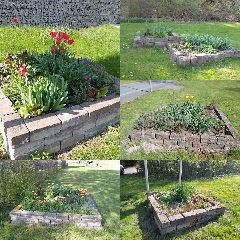 Collage image 1