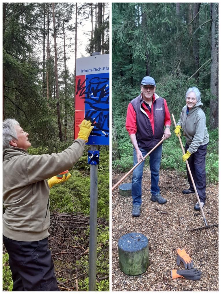 Bild im Zusammenhang mit dem Beitrag
