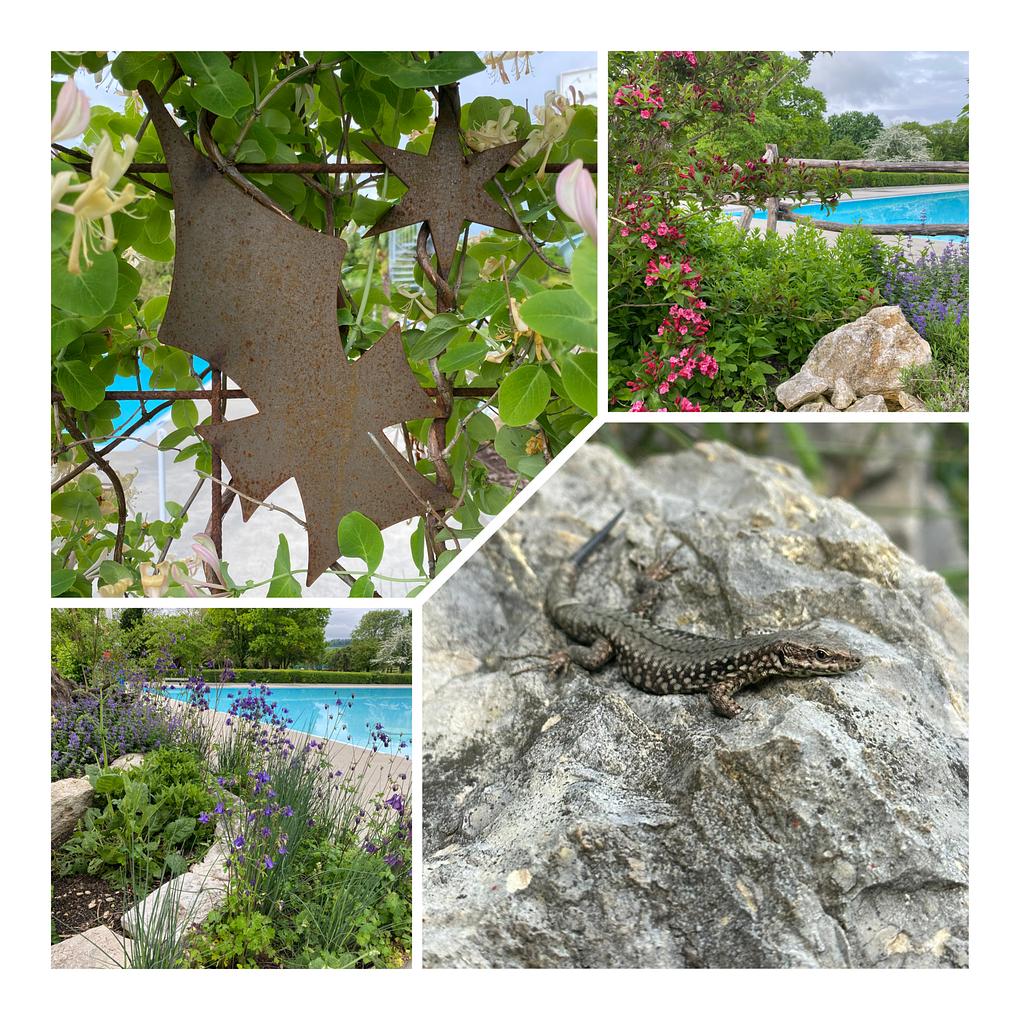 Collage image 1