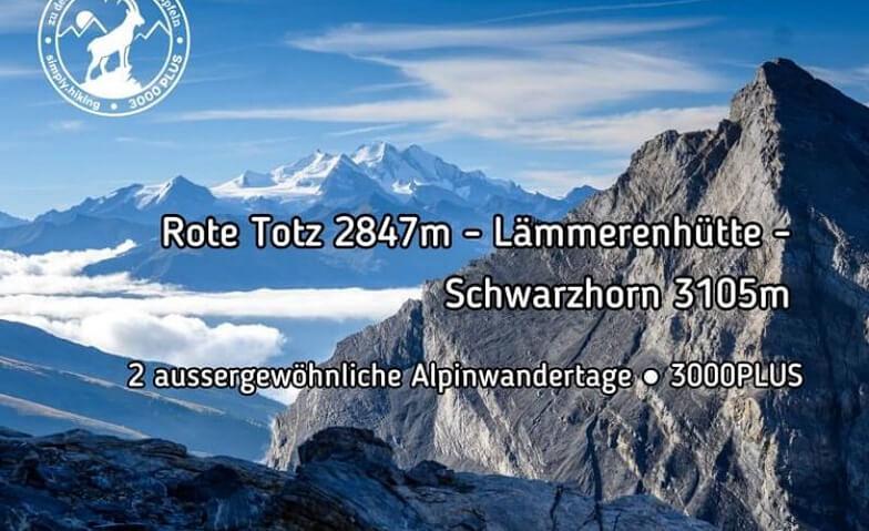 Bild im Zusammenhang mit dem Beitrag