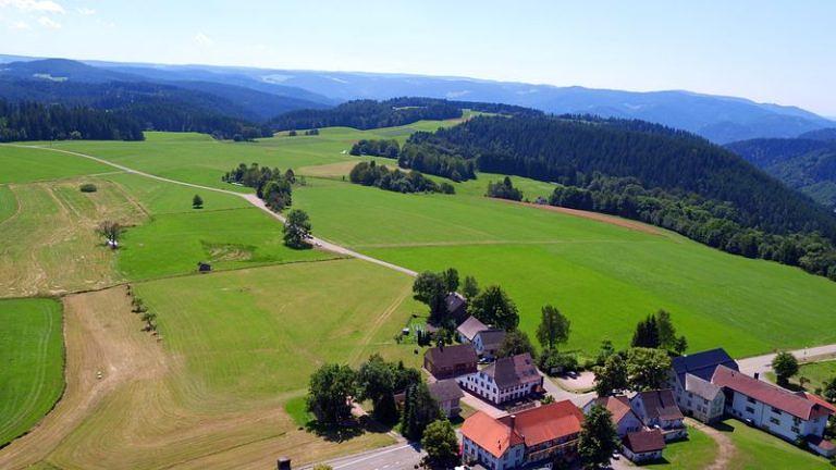 Bild im Zusammenhang mit dem Beitrag