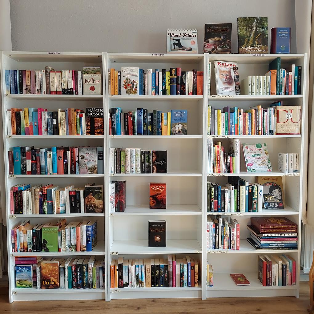Collagebild 4