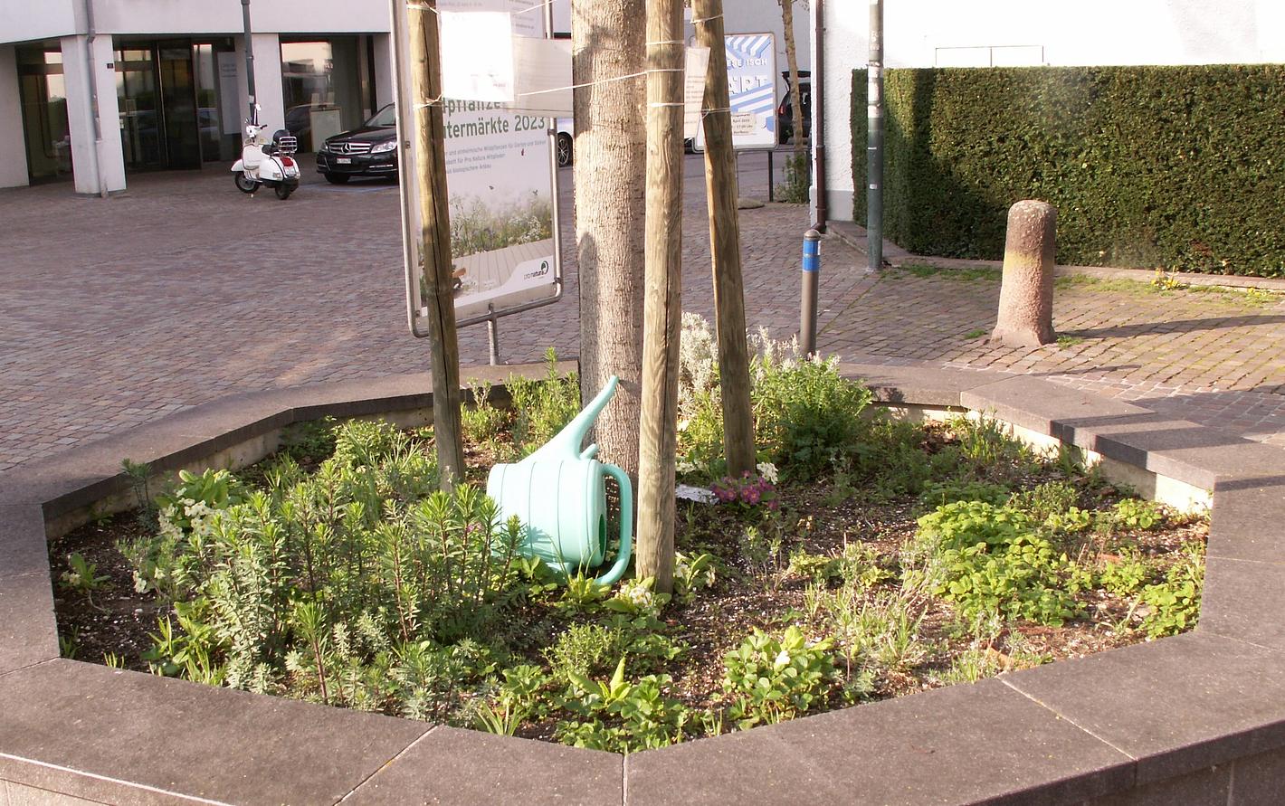 Collagebild 1