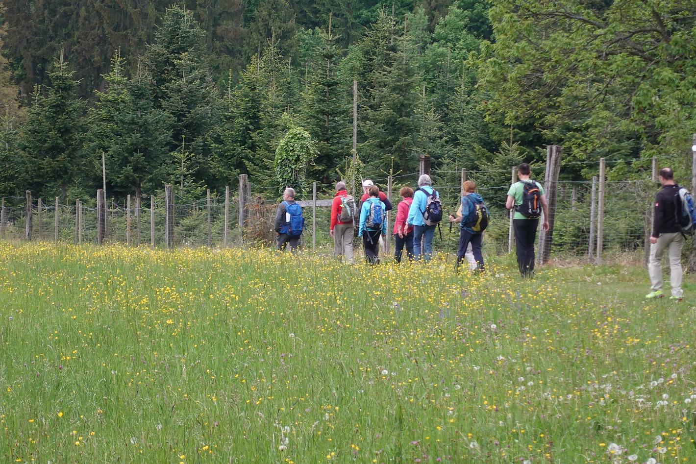 Bild im Zusammenhang mit dem Beitrag