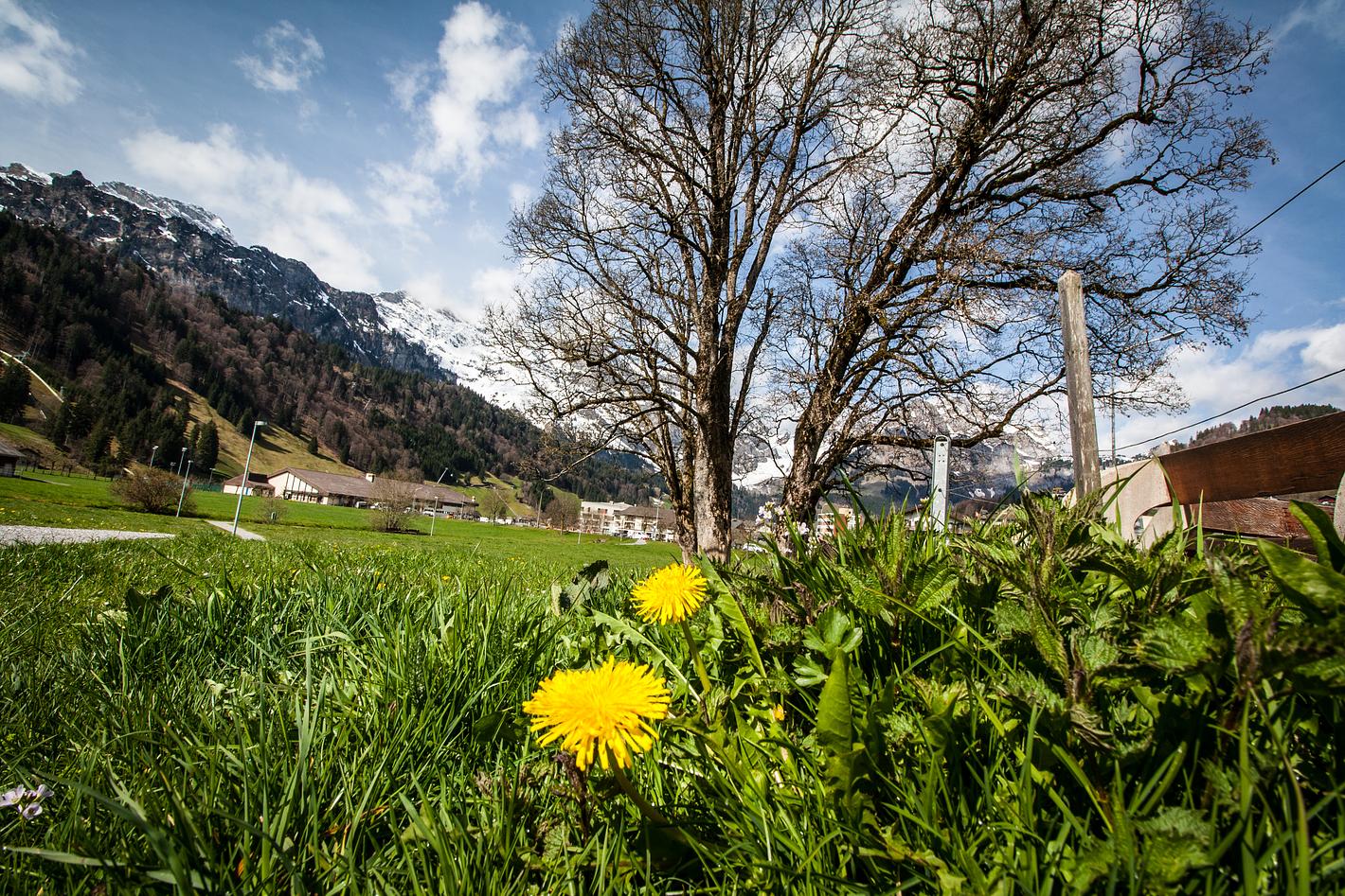 Bild im Zusammenhang mit dem Beitrag