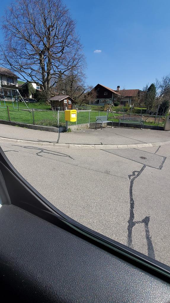 Bild im Zusammenhang mit dem Beitrag