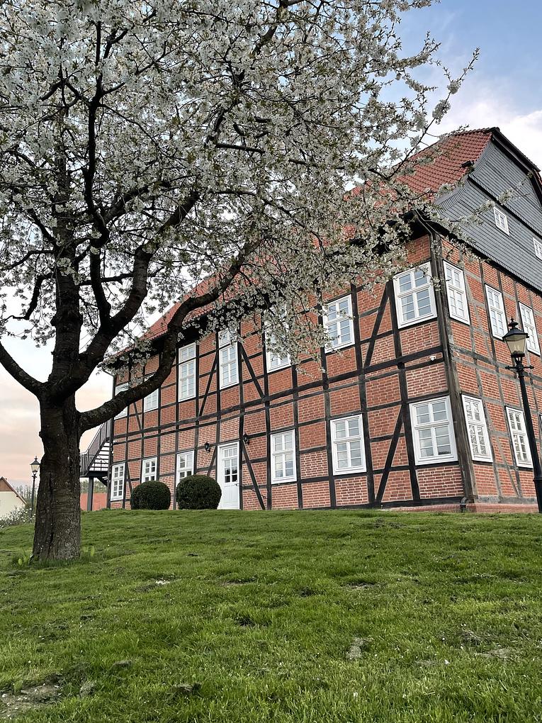 Bild im Zusammenhang mit dem Beitrag