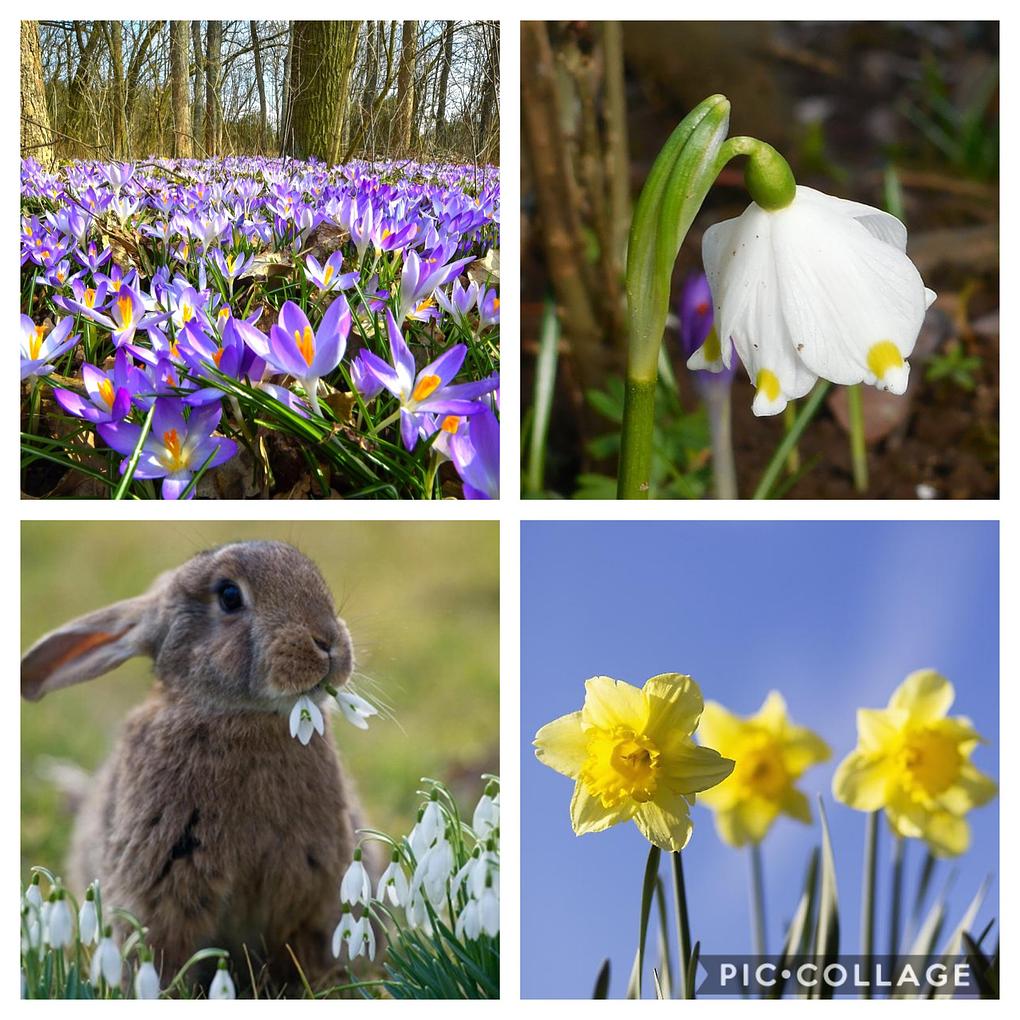 Collagebild 1