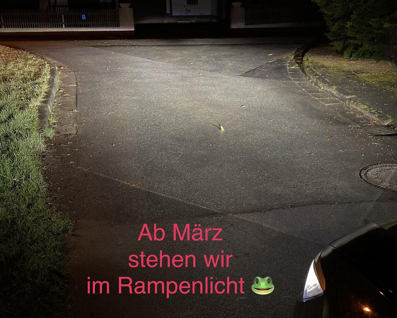 Bild im Zusammenhang mit dem Beitrag