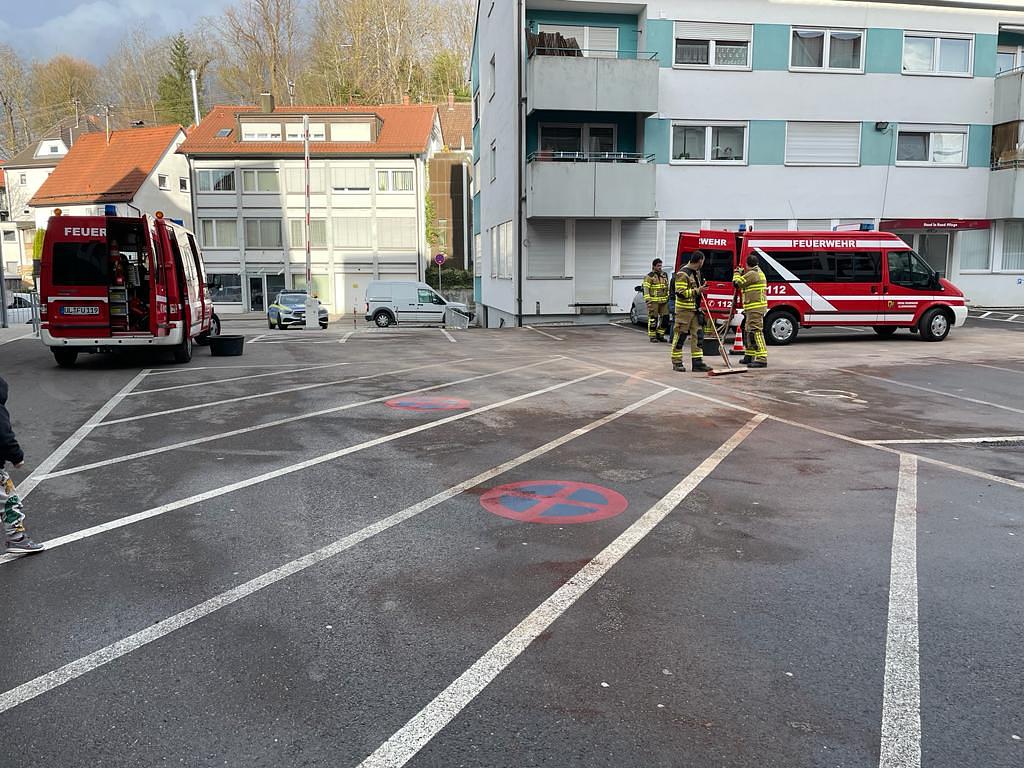 Bild im Zusammenhang mit dem Beitrag