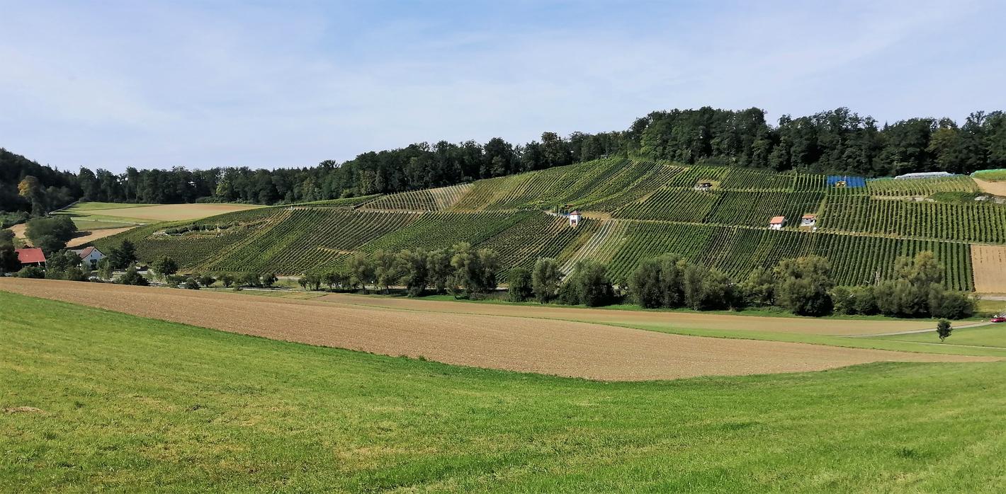 Bild im Zusammenhang mit dem Beitrag