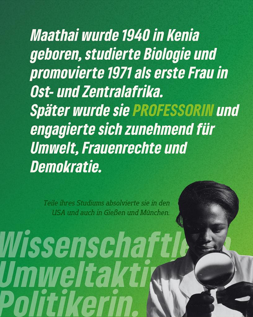 Collagebild 3