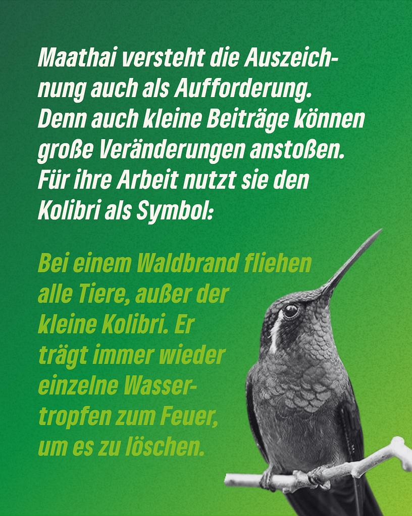 Collagebild 8