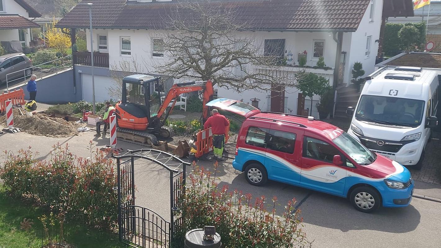 Bild im Zusammenhang mit dem Beitrag