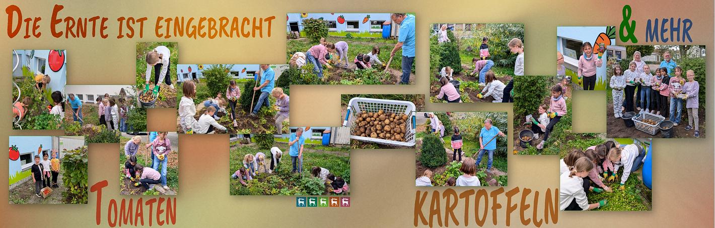 Collagebild 1