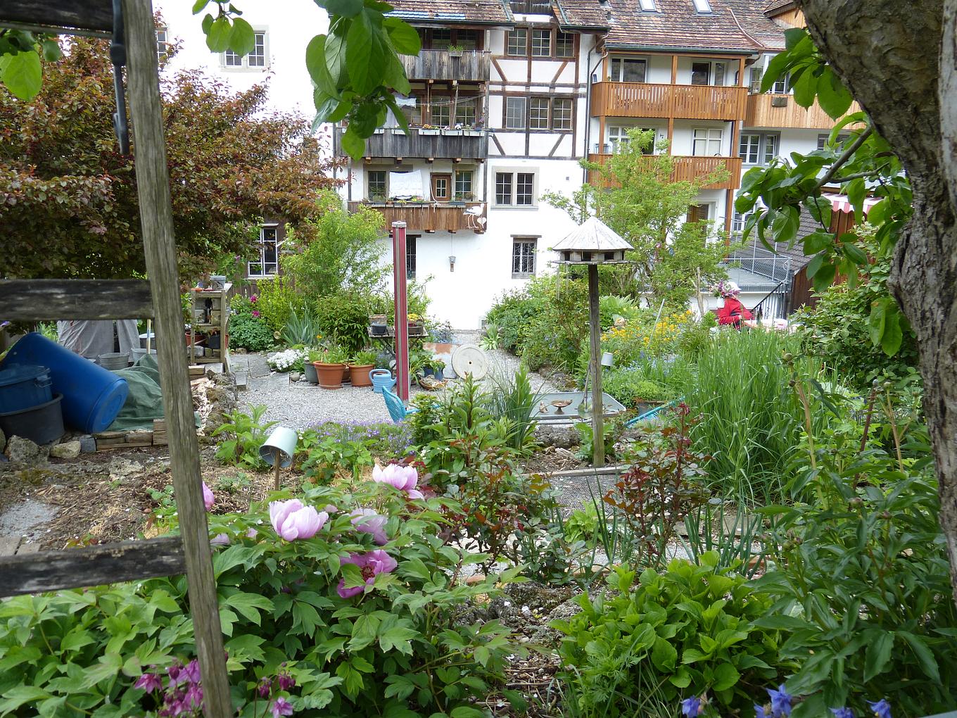 Collagebild 1