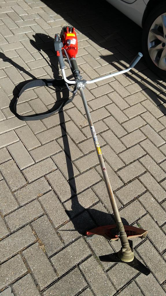 Bild im Zusammenhang mit dem Beitrag