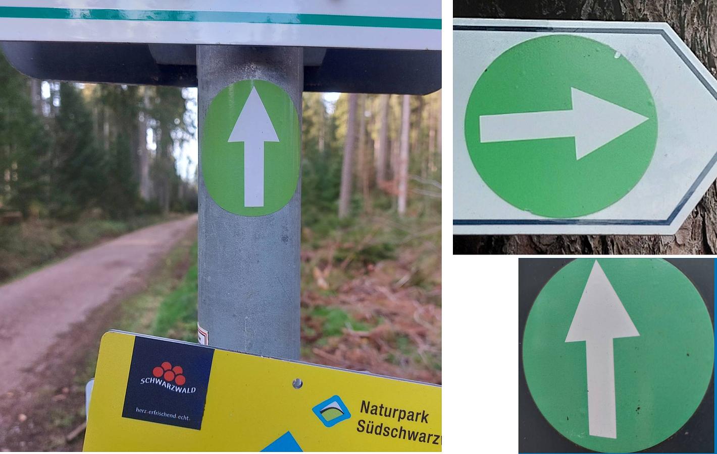 Collagebild 1