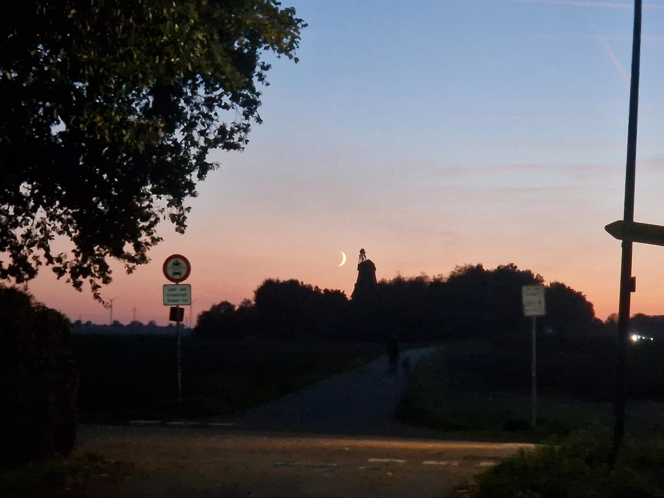 Collagebild 4