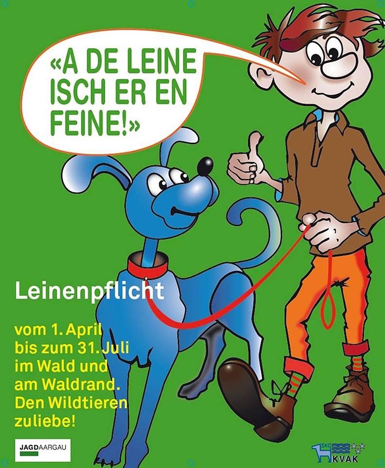 Bild im Zusammenhang mit dem Beitrag