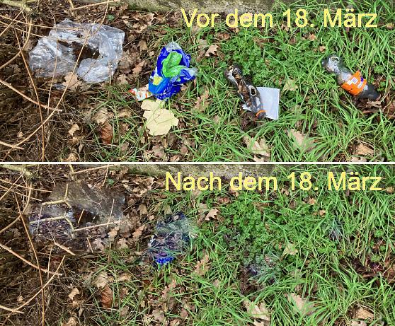 Collagebild 1