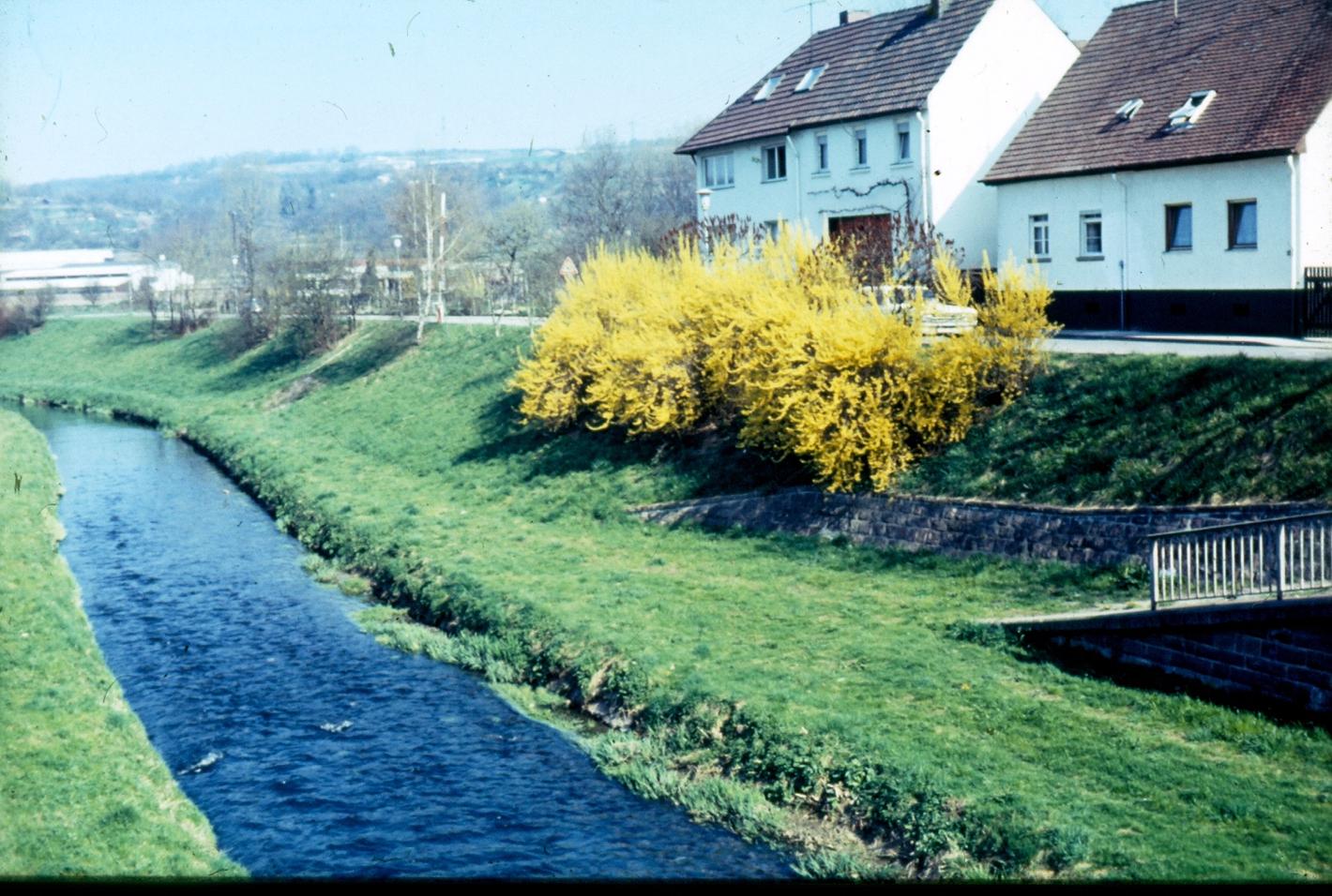 Bild im Zusammenhang mit dem Beitrag