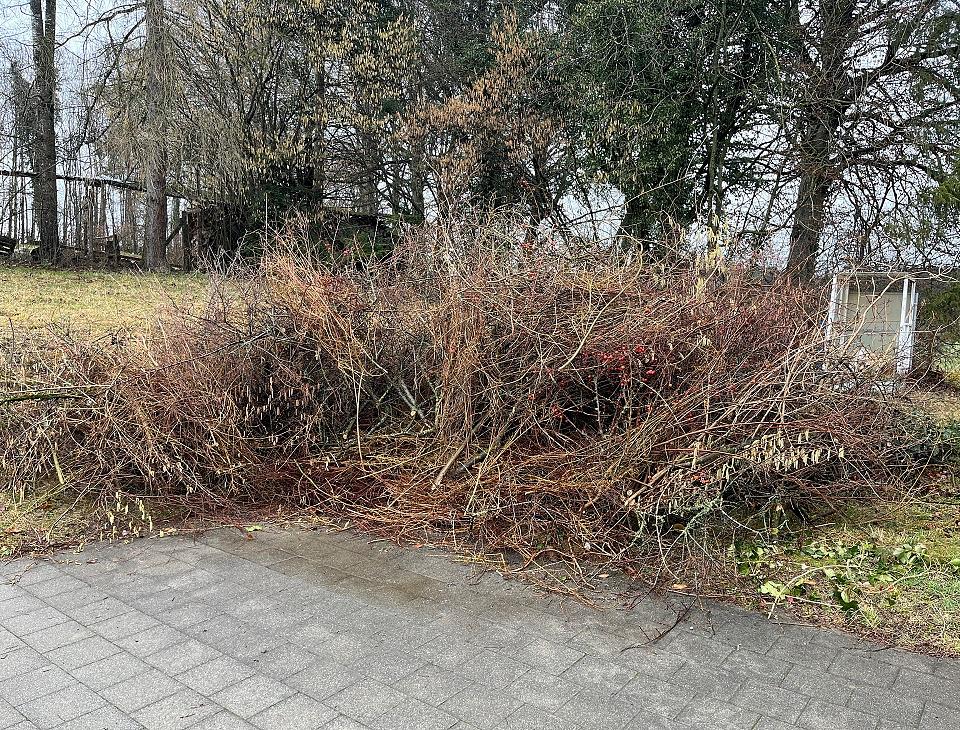 Bild im Zusammenhang mit dem Beitrag