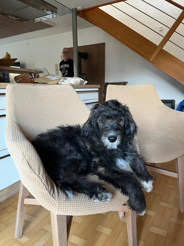 Bild im Zusammenhang mit dem Beitrag