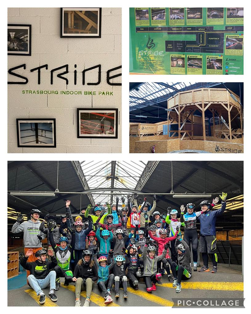 Collagebild 1