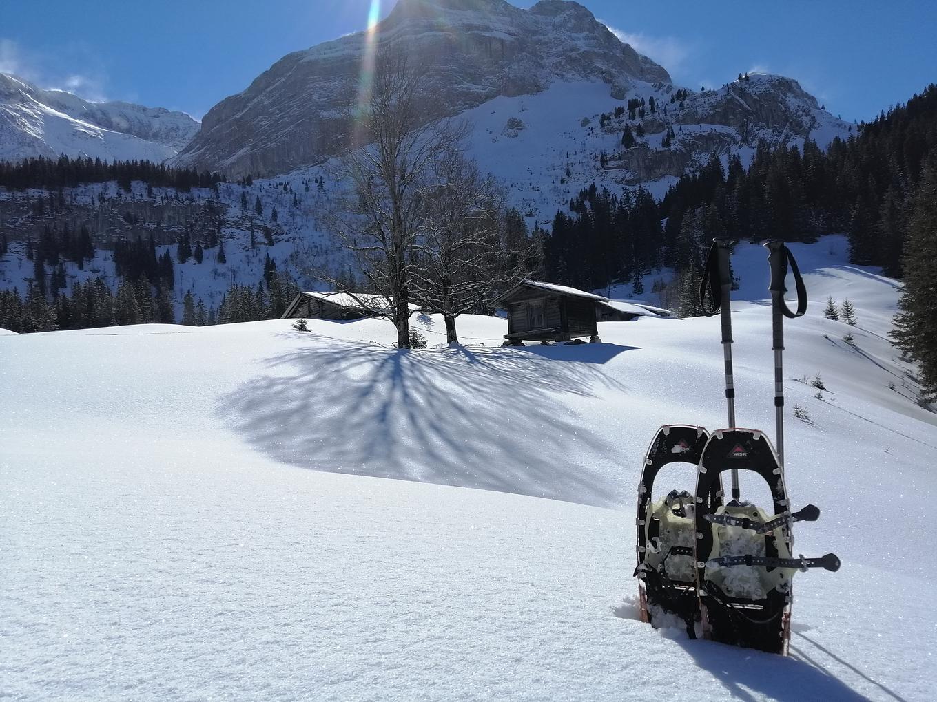 Bild im Zusammenhang mit dem Beitrag