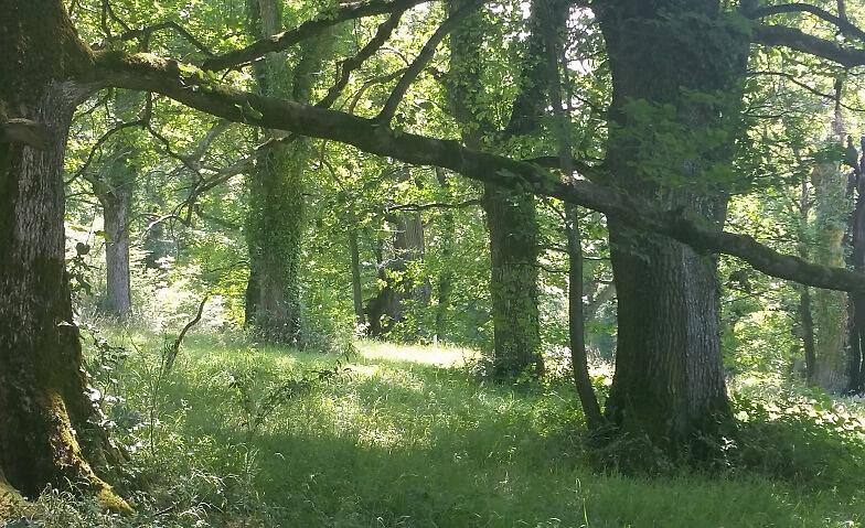 Collagebild 1