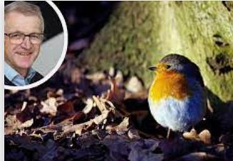 Bild im Zusammenhang mit dem Beitrag