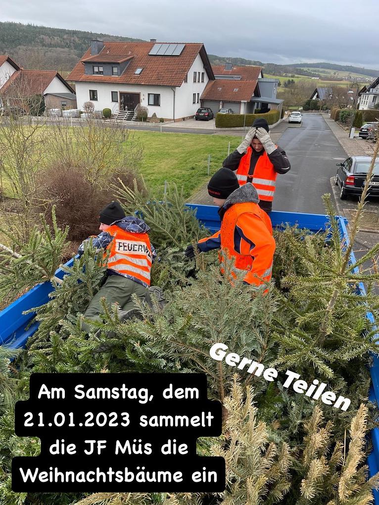 Collagebild 1