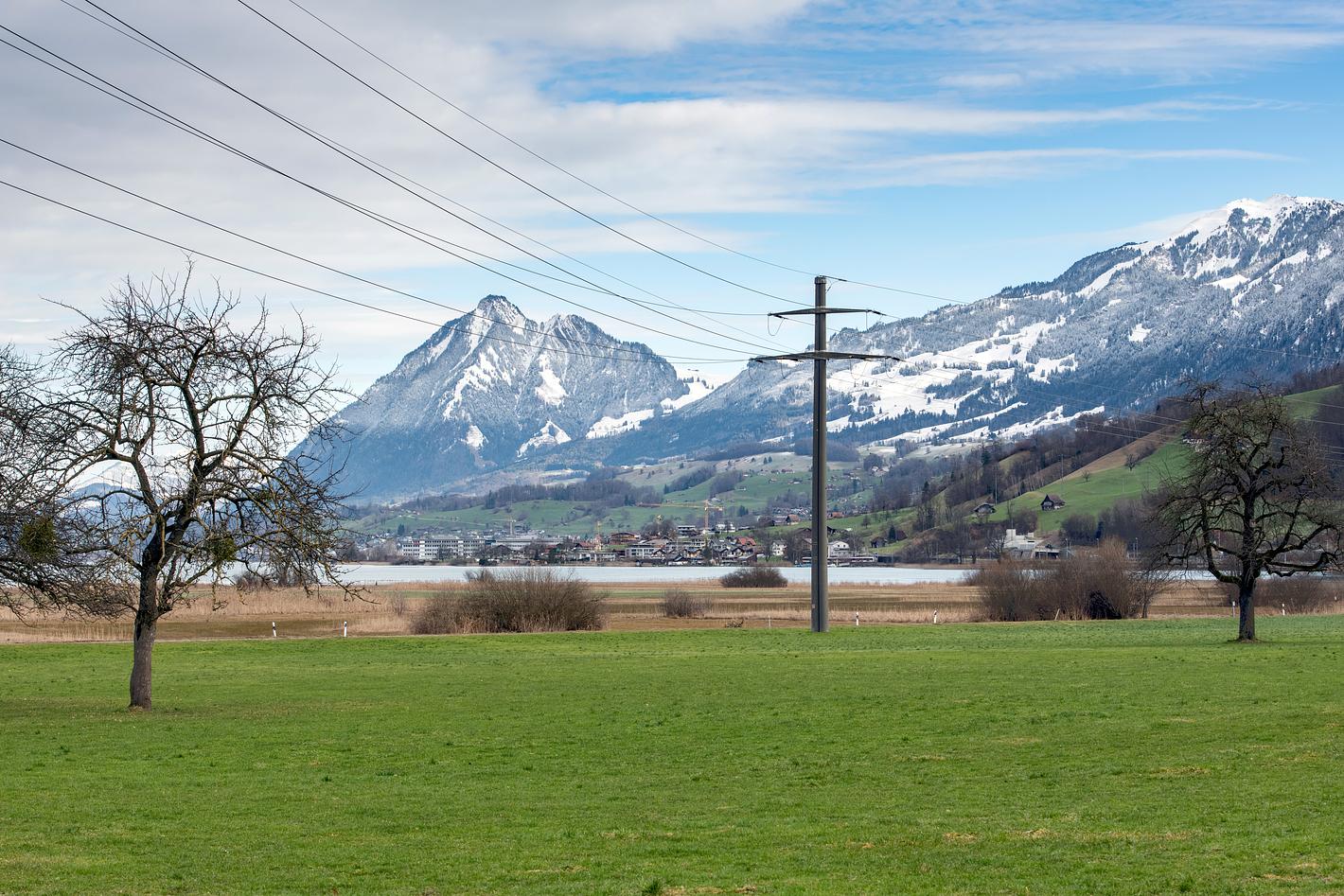 Bild im Zusammenhang mit dem Beitrag
