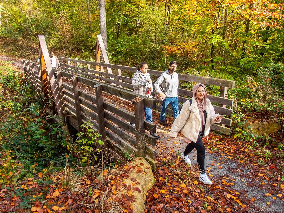 Bild im Zusammenhang mit dem Beitrag