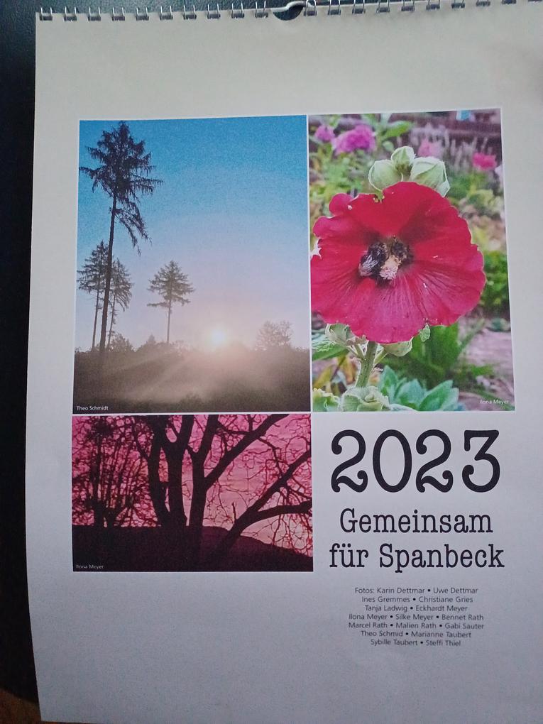 Collagebild 1