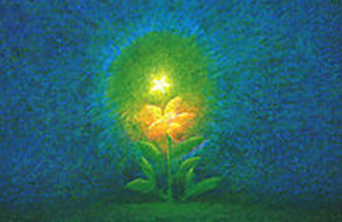 Image related to the post