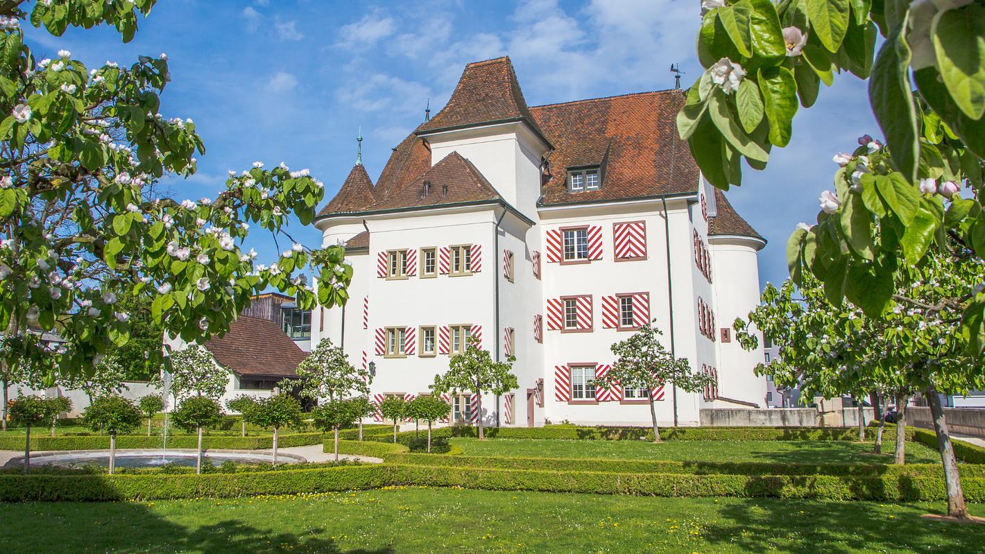 Bild im Zusammenhang mit dem Beitrag