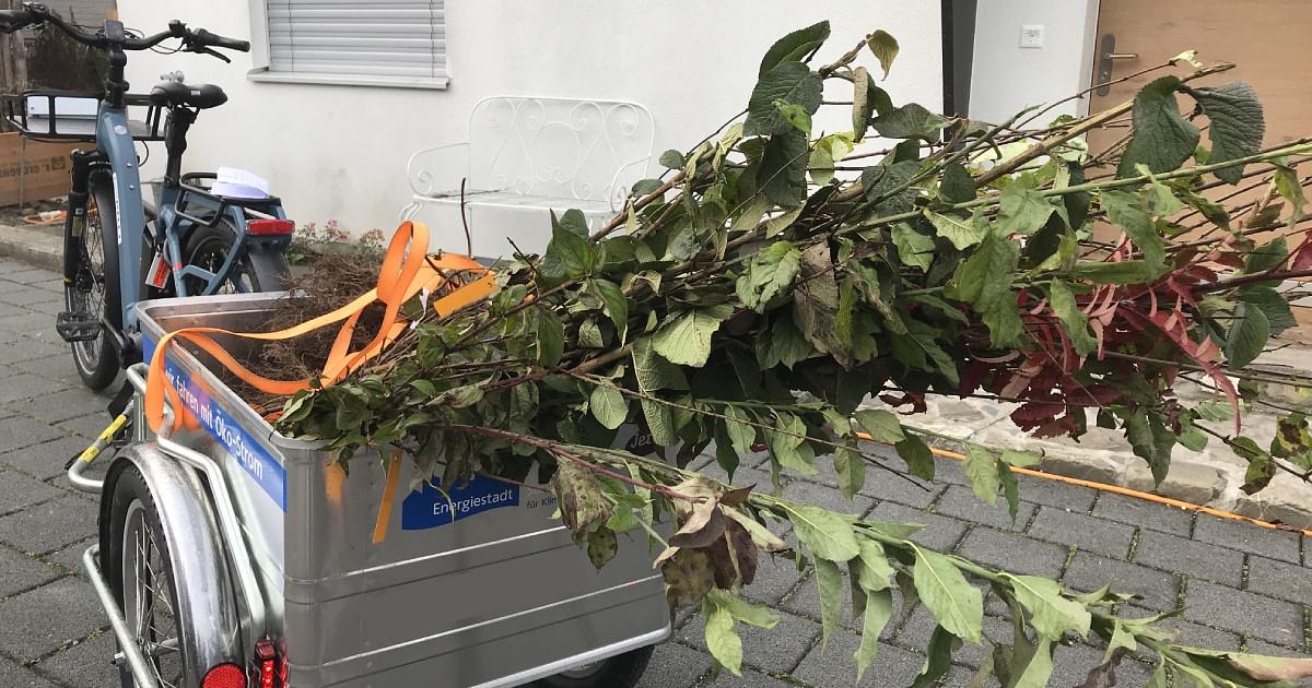 Bild im Zusammenhang mit dem Beitrag