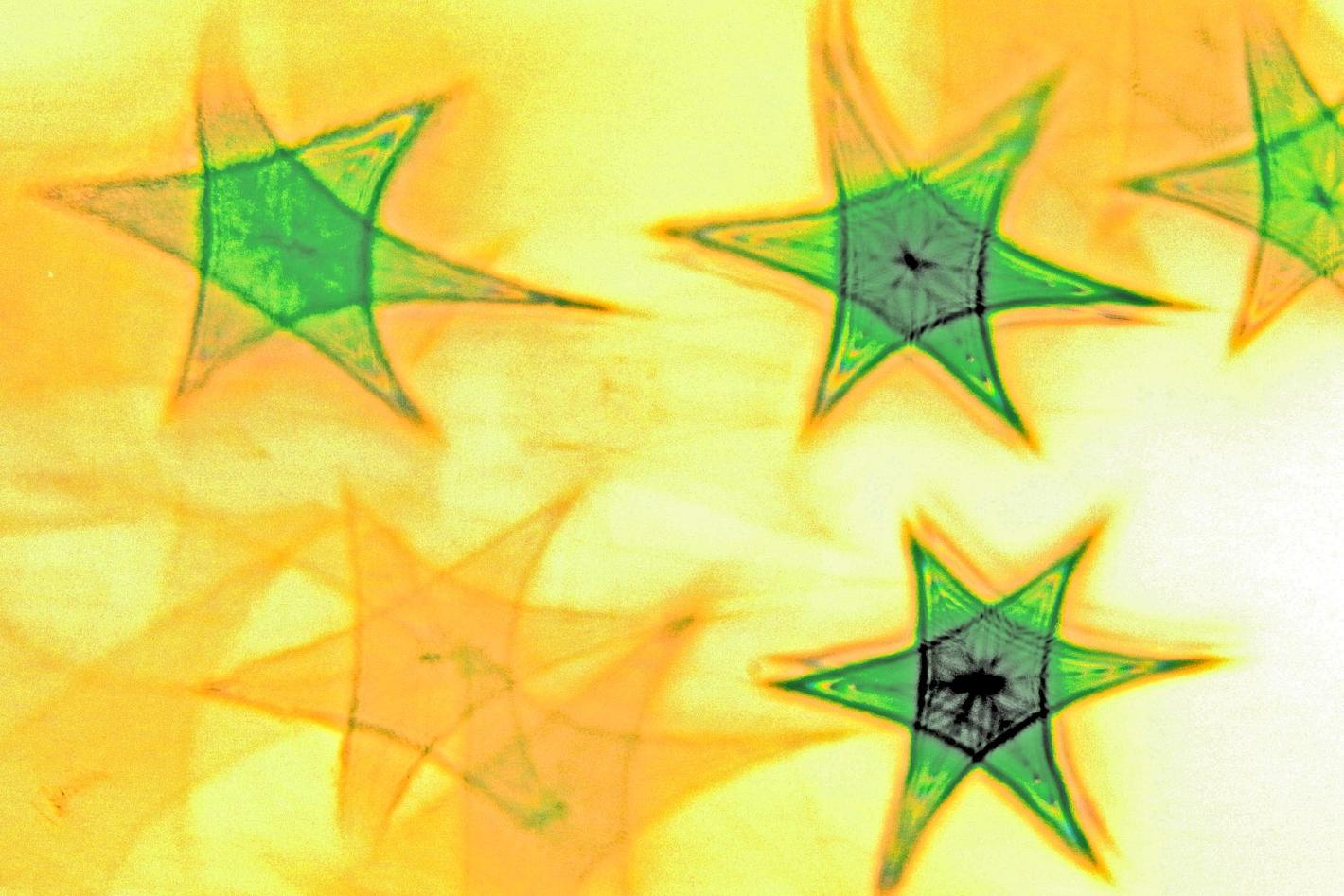 Collagebild 1