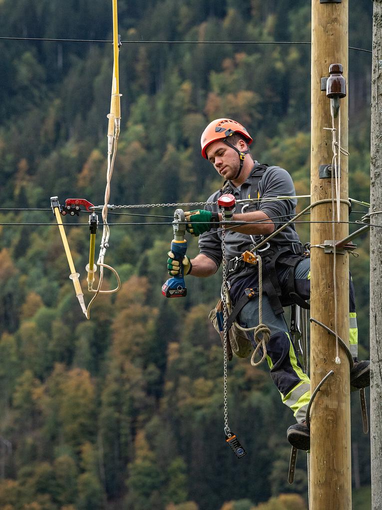 Bild im Zusammenhang mit dem Beitrag