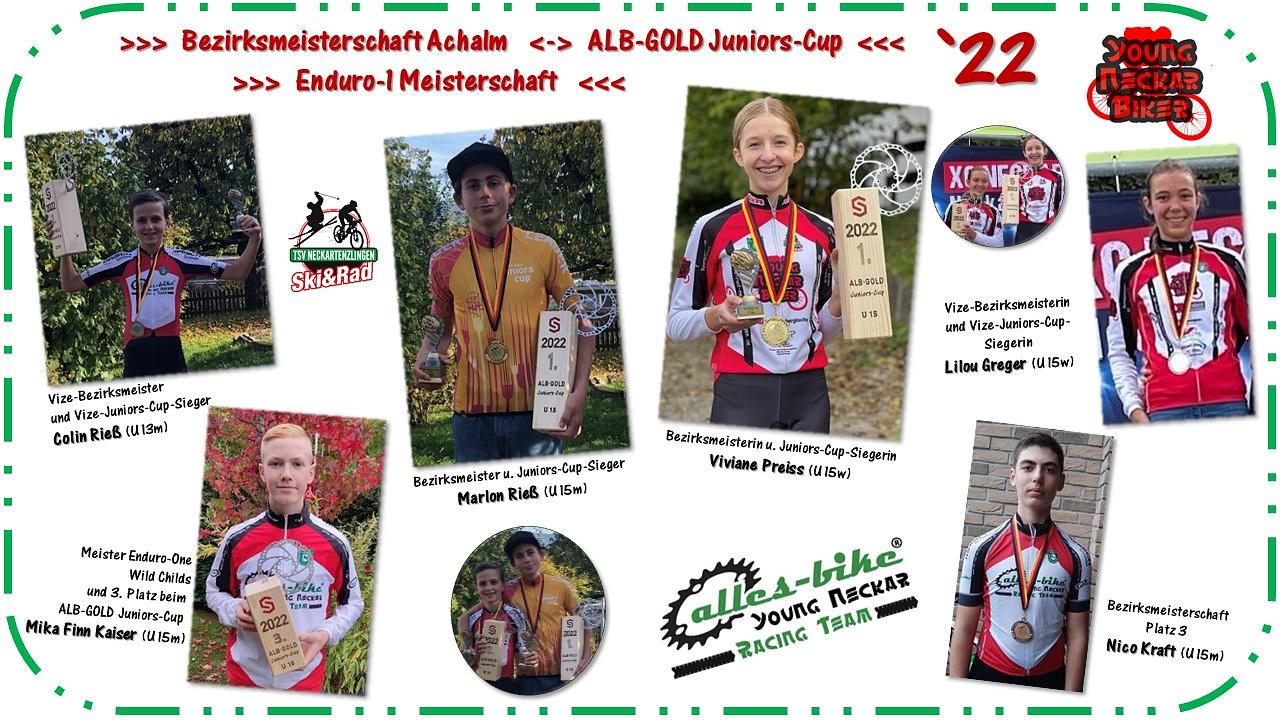 Collagebild 1