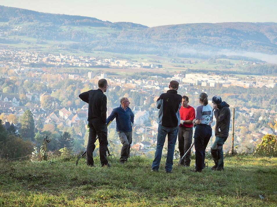 Bild im Zusammenhang mit dem Beitrag